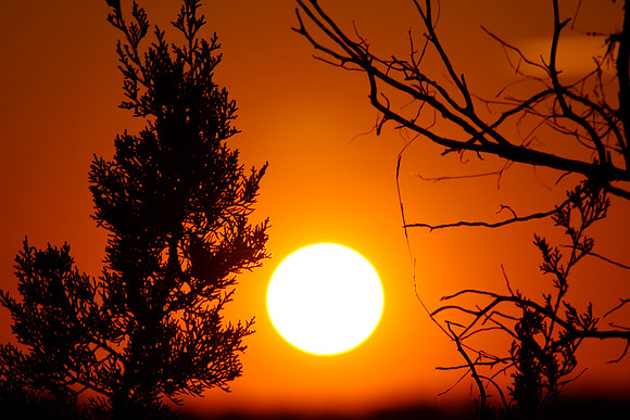 Texas Hill Country Sunset