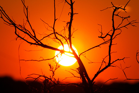 Texas Hill Country Sunset
