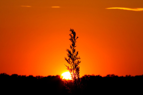 Texas Hill Country Sunset