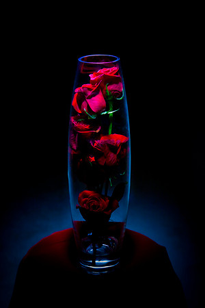 Vase Study 2
